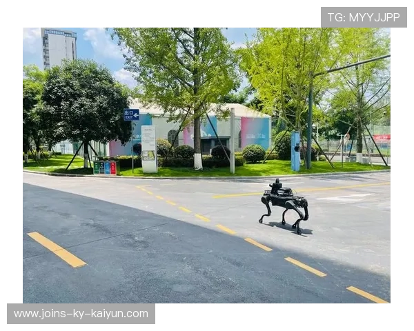 成都蓉城外线联动制造多重压迫